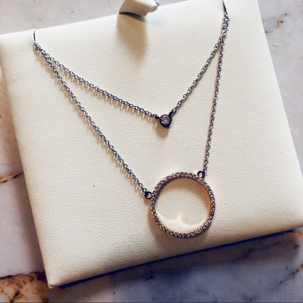 Waterford Silver Rose Gold Double Circle Necklace